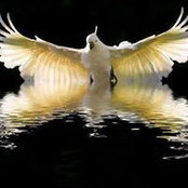 Debra VanNess's photo