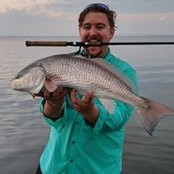 Ian Anderson's photo