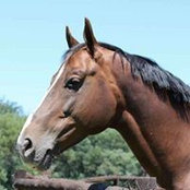 Burme Scholtz's photo
