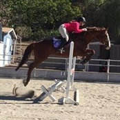 Danielle Skaar's photo