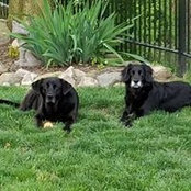 Nancy Arnett Vargo's photo