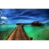 Scott Steinheiser's photo