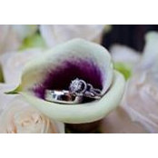 Shaimaa Ragab's photo