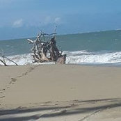 Nadja Quiles's photo