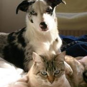 Sylvie Bolioli's photo