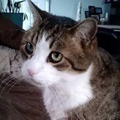 Donna Erikson's photo