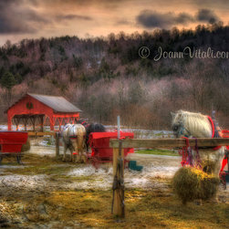 Horse and Carriage Rides - Stowe Vermont - Prints And Posters