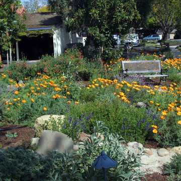 Wildlife Habitat in Campbell, California 95008