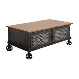 Davis Reclaimed Metal 2-Door Coffee Table