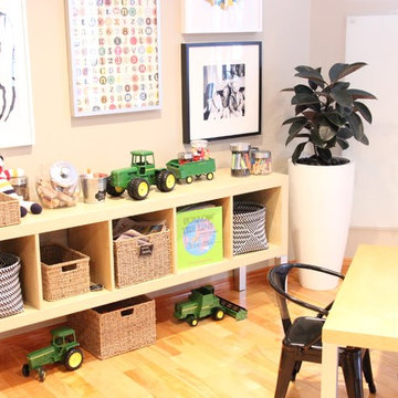 *lower level playroom