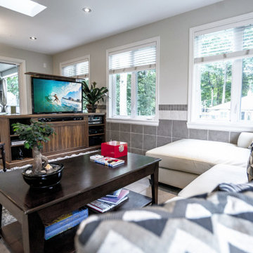 Living Room TV Lift