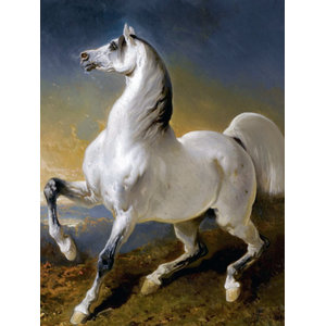 FRENCH horse equine A Dreux Accent Tile Mural Kitchen Backsplash Marble Ceramic 