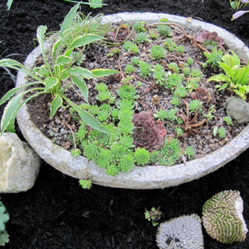 Jewelbox garden