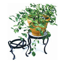 houseplantd