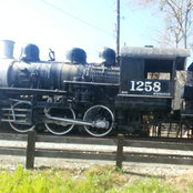 Kristin Ruff's photo