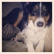 Foto de Heather Bounds