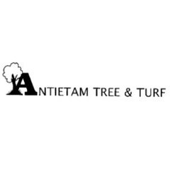 Antietam Tree & Turf