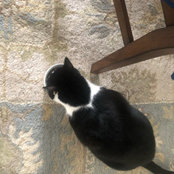 Teresa Messmore's photo
