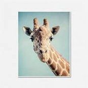 Angela Sowell's photo