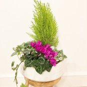 Jennifer Kwan's photo
