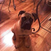 Tommy Moore's photo