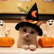 Helene Delorme's photo