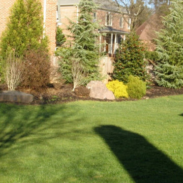 LANDSCAPE - NC Charlotte Landscape Project