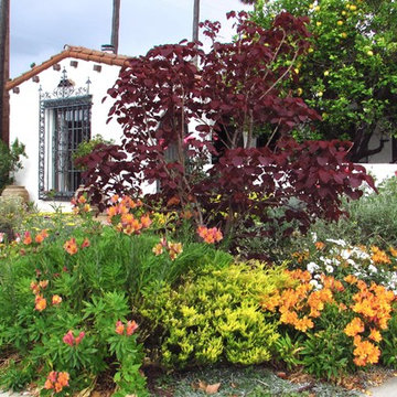 Vivacious Mediterranean Front Yard