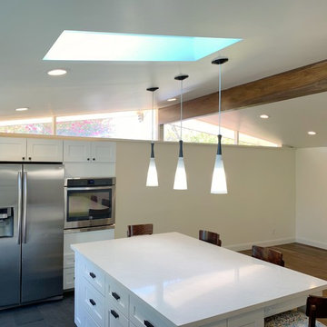 Kitchen Remodel/Renovation