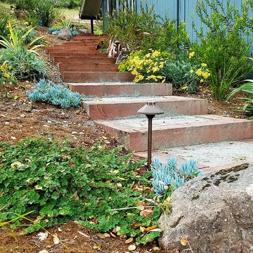 Aptos Hills Deer-Resistant and Drought-Tolerant
