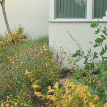 Royal California Native Frontyard Plant Bundle