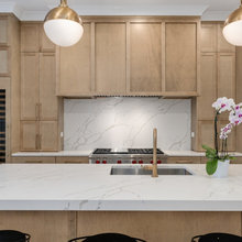 Hoyne Remodel