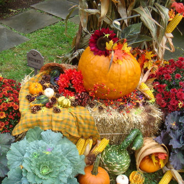 Seasonal Displays