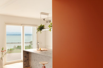 Idee per una piccola porta d'ingresso design con pareti bianche, parquet chiaro, una porta arancione, pavimento marrone, soffitto ribassato e pareti in legno
