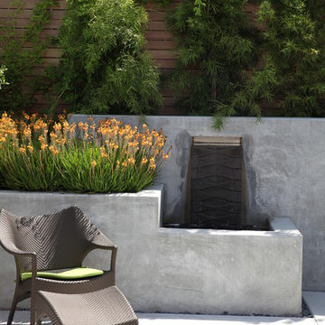 City Oasis