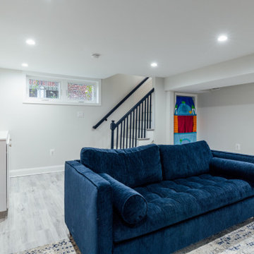 DC Basement Renovation