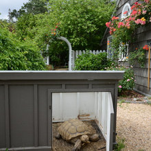 Tortoise House