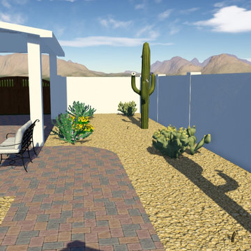 Scottsdale Desert Backyard Renovation