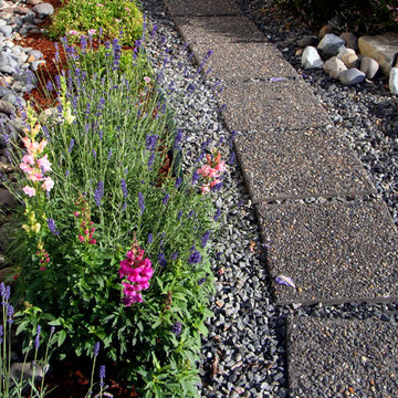 suburban landscape design