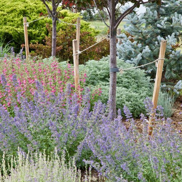 Plant Combinations