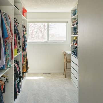 Stewart Renovation