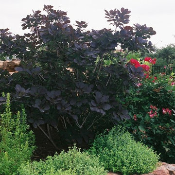Spanish Oaks Home