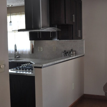 Kitchen Remodel, Mentor 2014