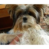 June LeClair's photo