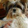 june_leclair