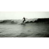 David Brenon's photo