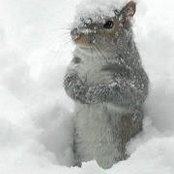 SharonSue Krishnek's photo