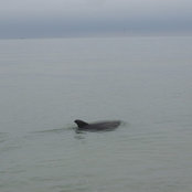 C Mahoney's photo