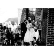 Sarah Cini's photo