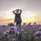 Rina Davidson's photo
